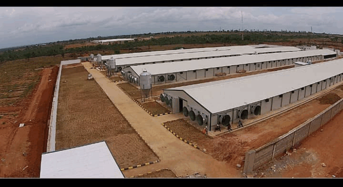 Farm Construction