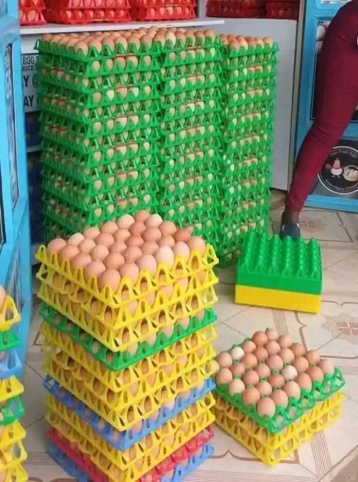 Fresh Farm Eggs - Image 2
