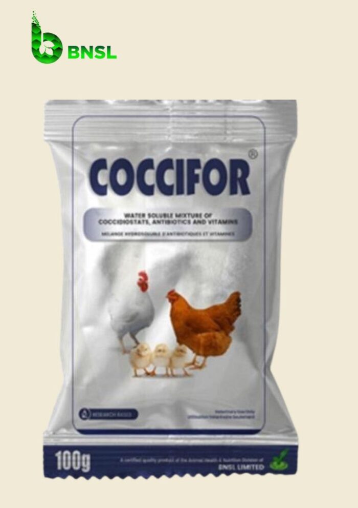 Coccifor