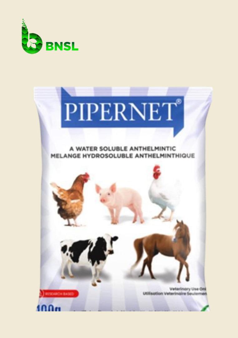 Pipernet