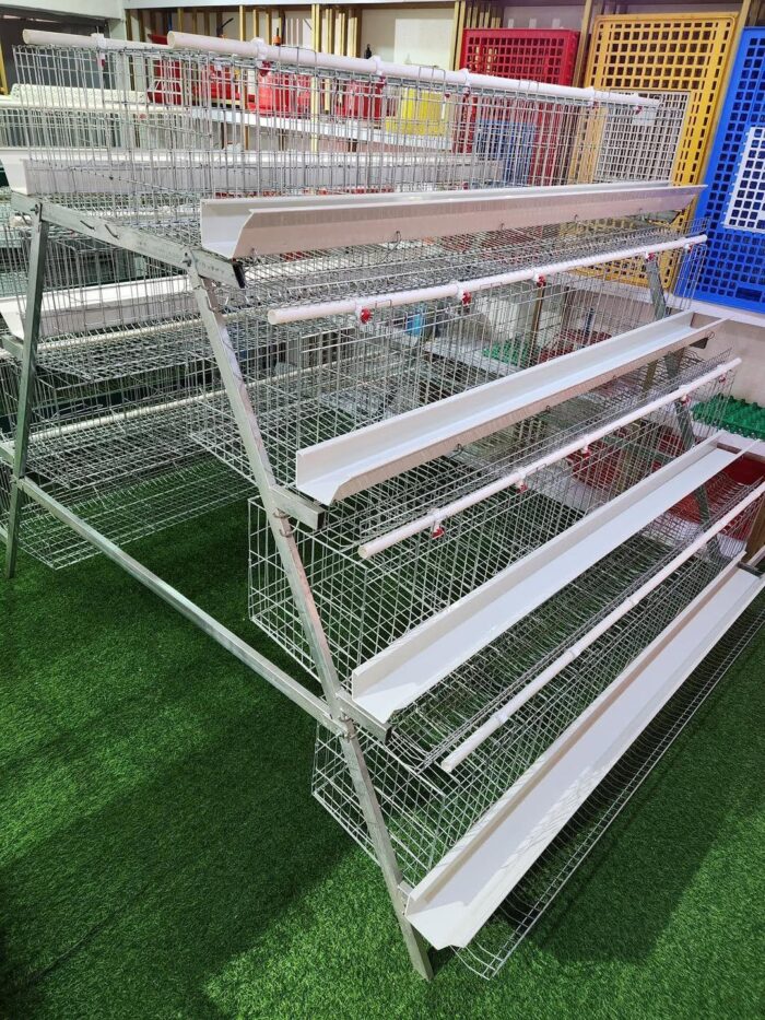 4 Tier Imported Hot Dip Galvanize Cage(25 years lifespan)