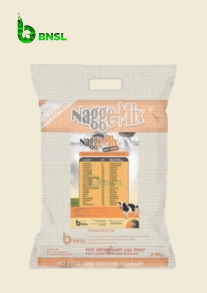 Nagge-Mix Beef Premix