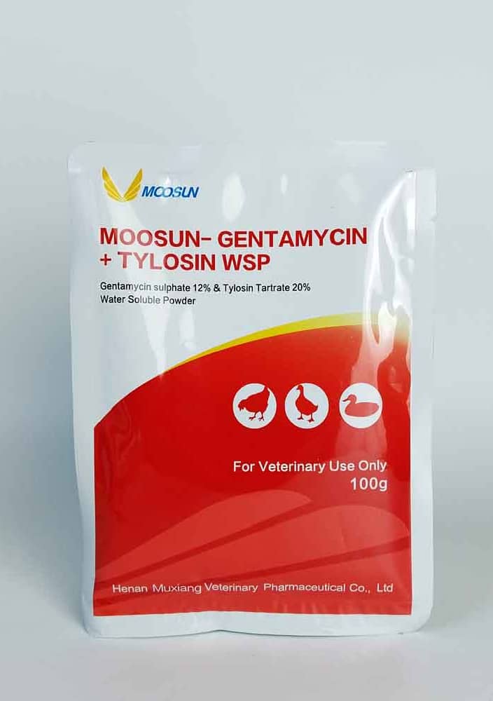 MS-GENTYLO.100g