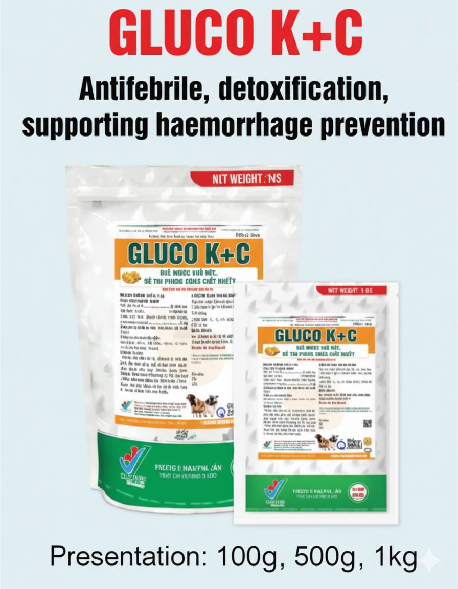 GLUCO K+C