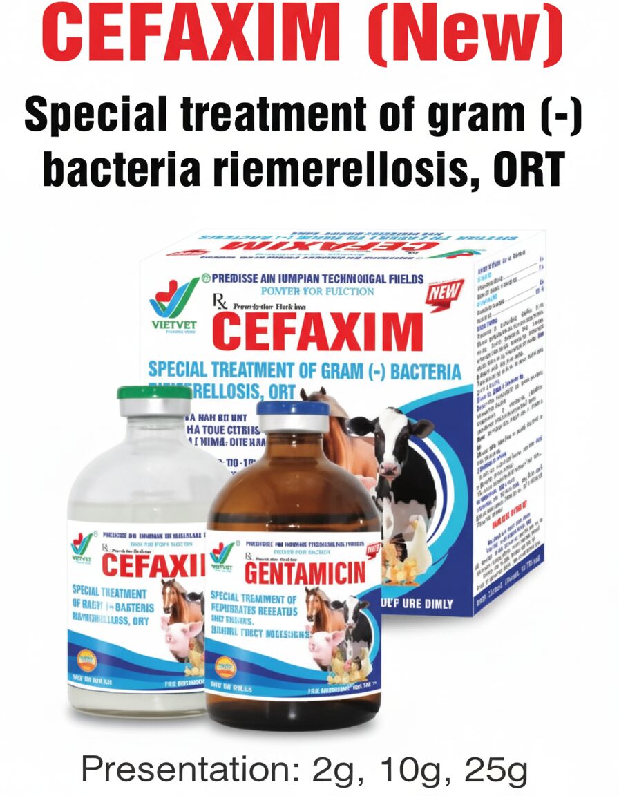 CEFAXIM