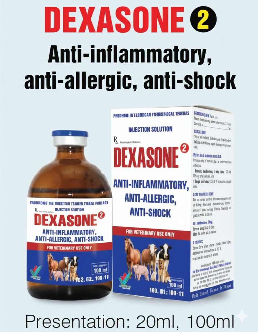 DEXASONE 2.