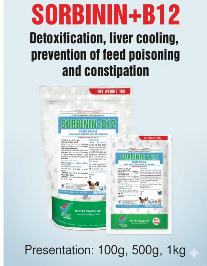 SORBININ+B12