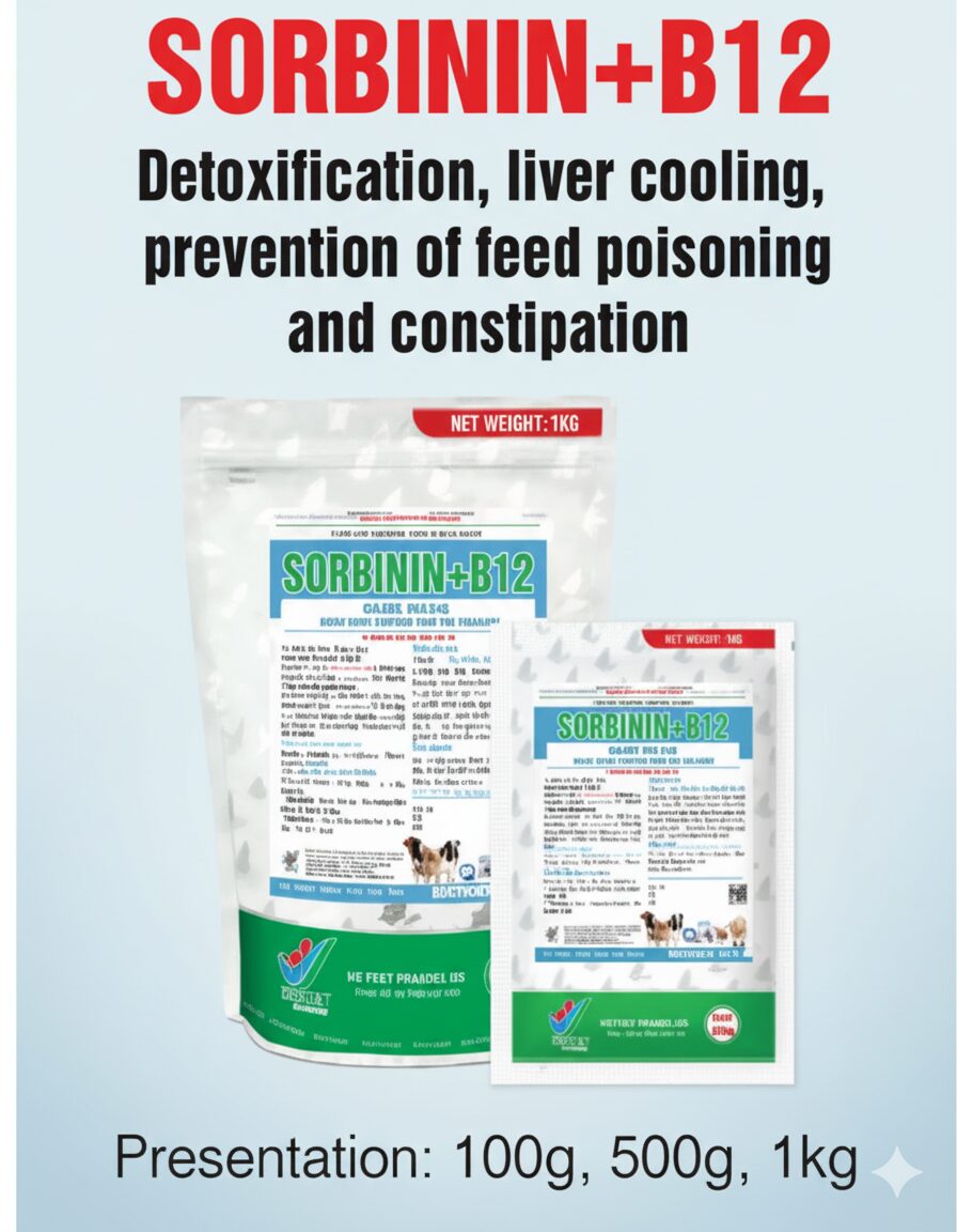 SORBININ+B12