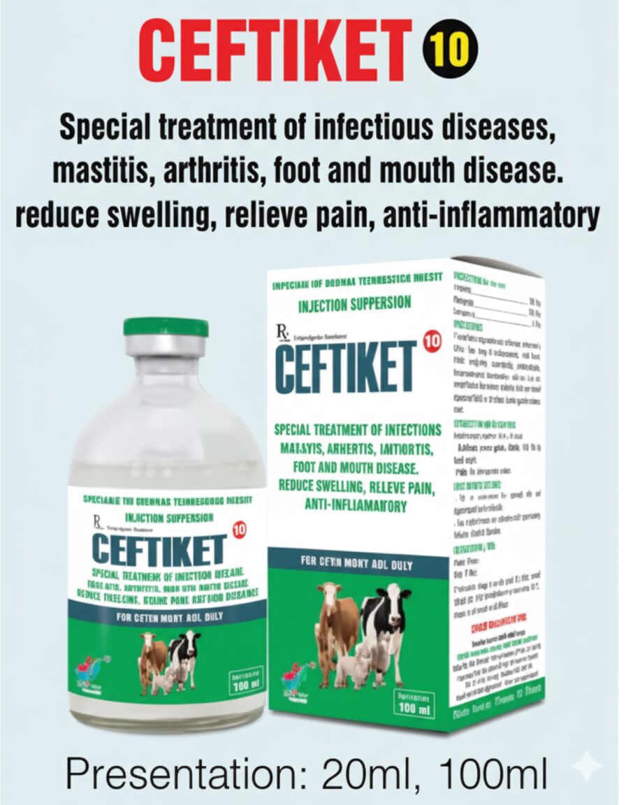 CEFTIKET 10 - Image 2