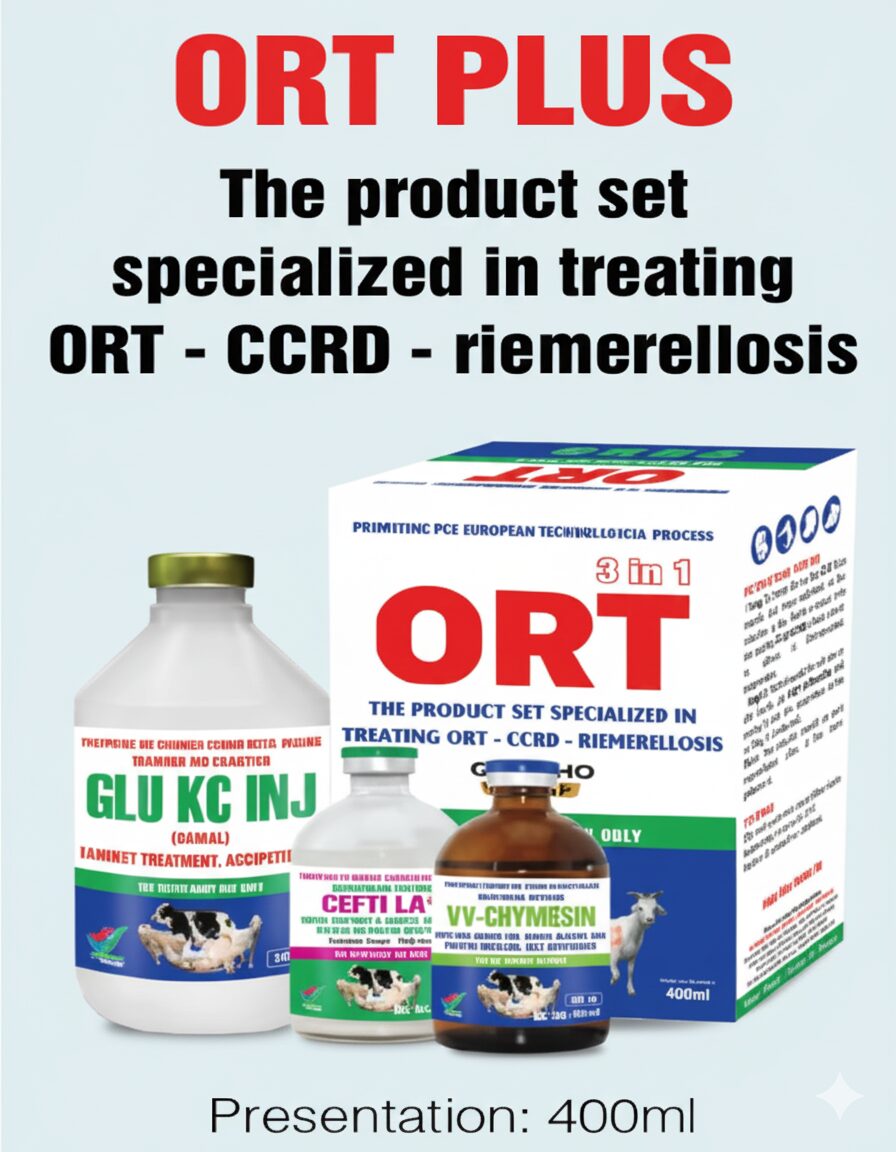 ORT PLUS